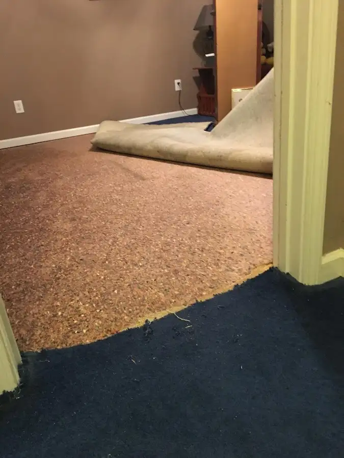 Carpet pad removal revealing water damage during Drying & Dehumidification in Salida