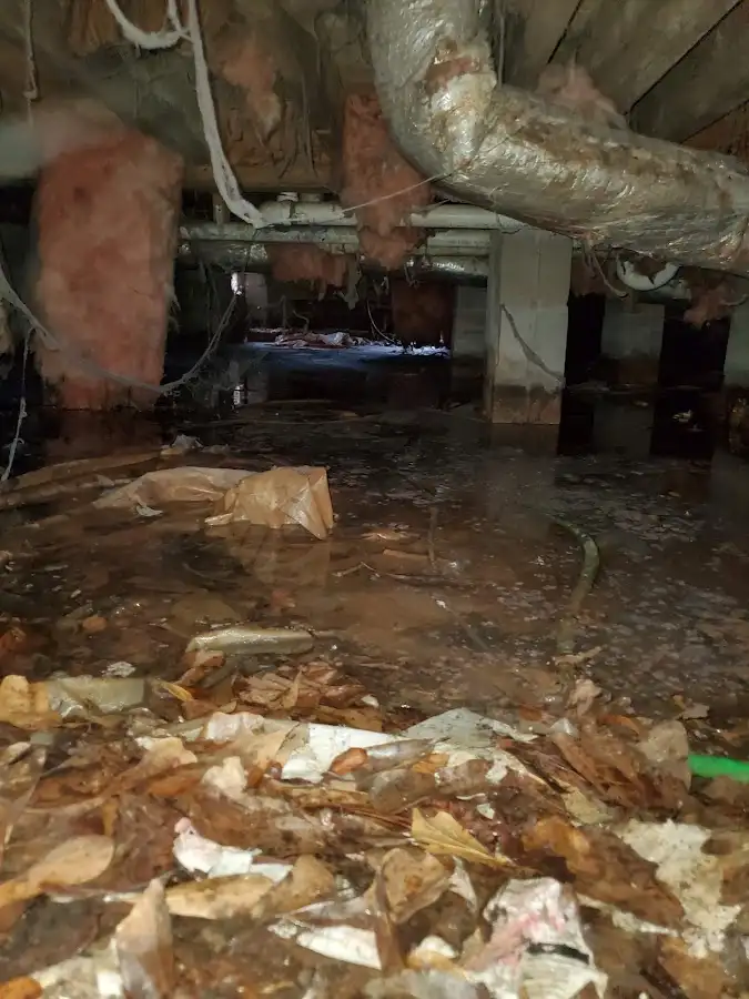 Crawl space flood assessment for Leak Detection & Repair in Salida