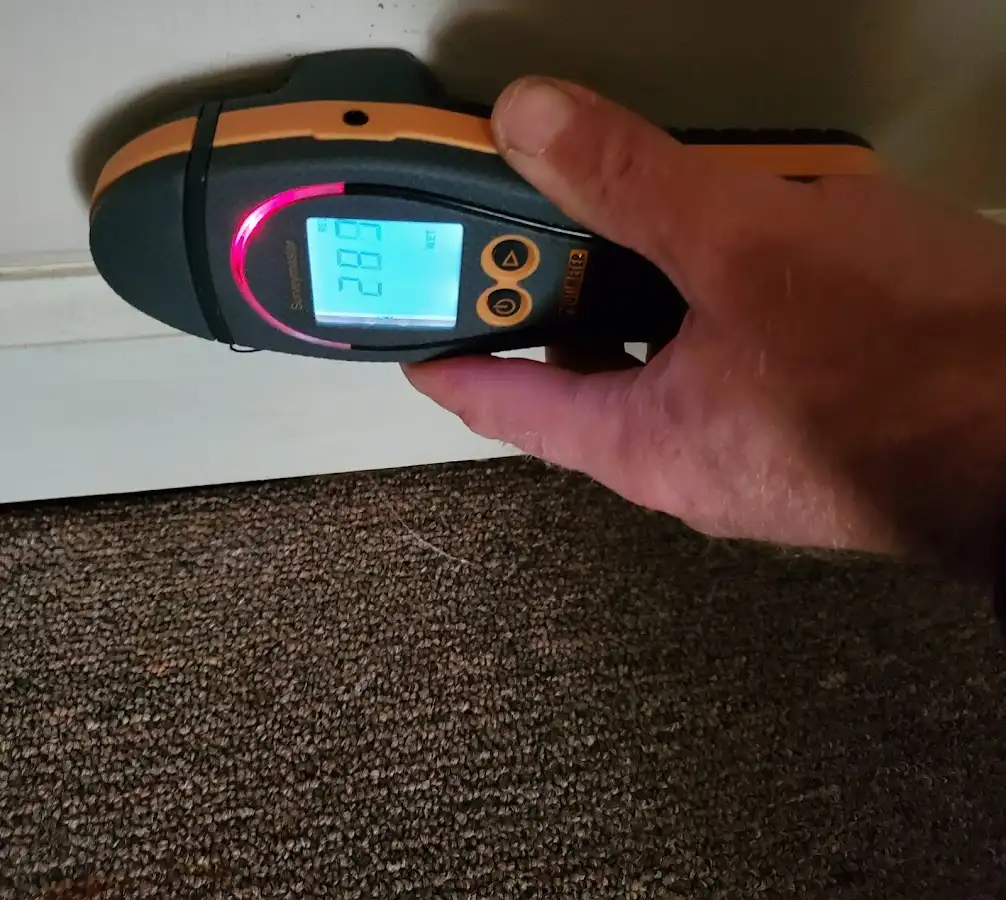 Moisture detection at baseboard during Burst Pipe Cleanup in Salida